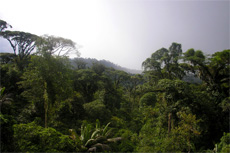Puntarenas (Puerto Caldera) Island Tour cruise excursion